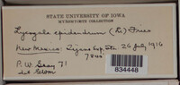 Image Associated With the Occurence